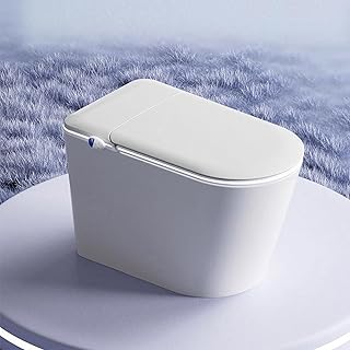 Smart Bidet Toilet
