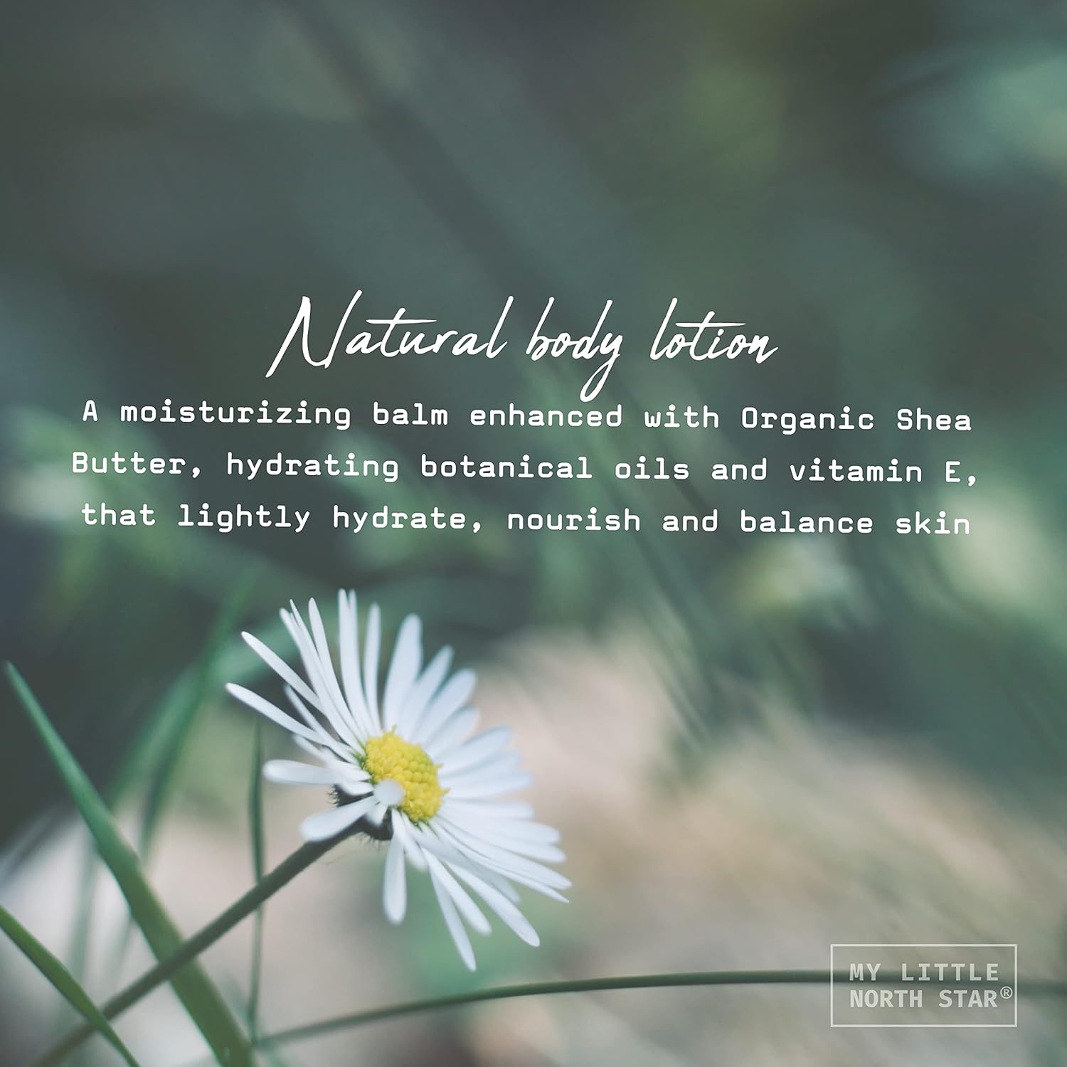 Body Lotion - Shea Chamomile Body Lotion for Dry Skin, With Organic Shea Butter, Organic Coconut Oil & Vitamin E - Body & Face moisturizer, Hand Cream - Natural Made in USA, Sulfates Free, 8oz : Beauty & Personal Care