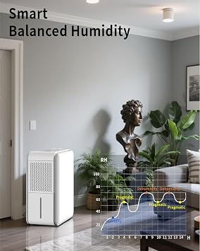 4 in1 Dehumidifier Humidifier Air Purifier with Aroma Diffuser Combo