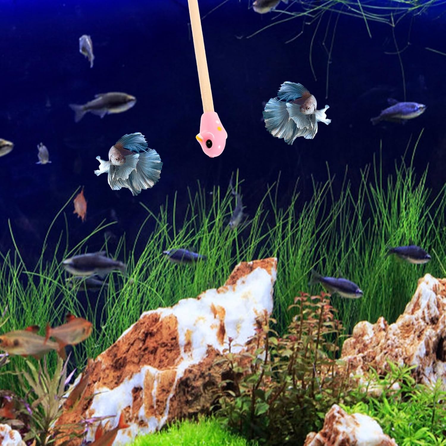 balacoo 2pcs Fish Training Stick One Piece Toys Wand for Betta Training Betta Training Stick Decorative Wand Aquarium Betta Fish Training Wand Betta Fish Toys Betta Wand Training Wooden