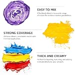 ABEIER Large Bulk Acrylic Paint Set, 20 Colors x 250 ml/8.45 oz Bottles, Matte Finish, Rich Pigments, Non-Toxic, Large Acrylic Paint for Classroom, Canvas, Crafts, Wood, Rock & Ceramic