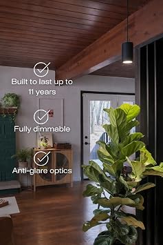 Aspect Soltech Decor Pendant Grow Light for Houseplants, Warm White, Black