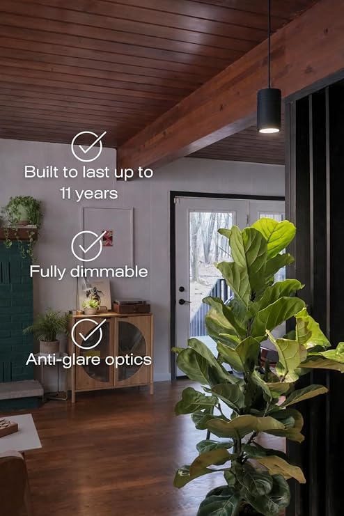 Aspect Soltech Decor Pendant Grow Light for Houseplants, Warm White, Black