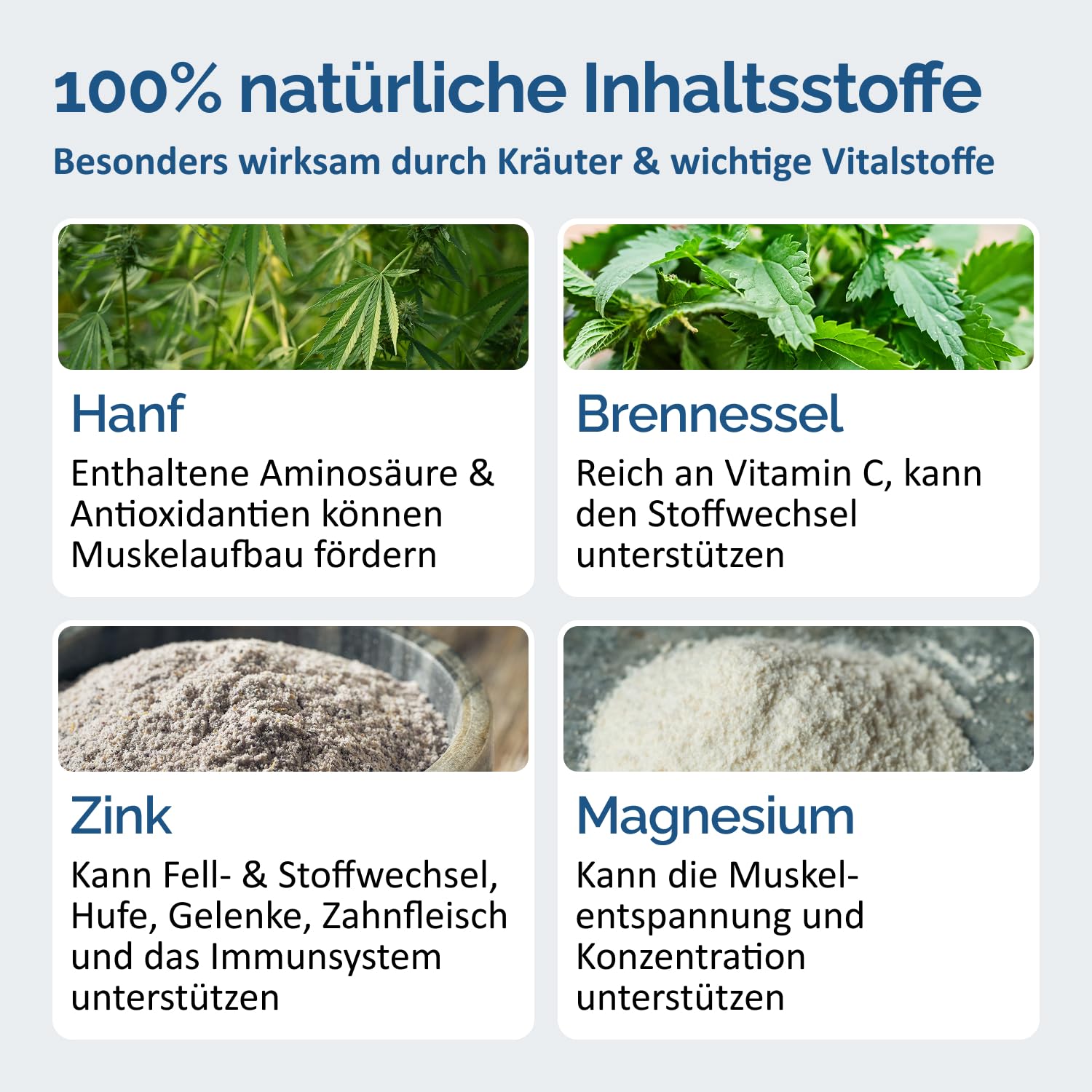 The Horse Vitality Company Stoffwechselbooster für Pferde 2 kg Pulver | Mischung aus Kräutern, Zink & Magnesium | Fellwechsel, Immunsystem & Vitalität | 100% natürlich | Made in Germany