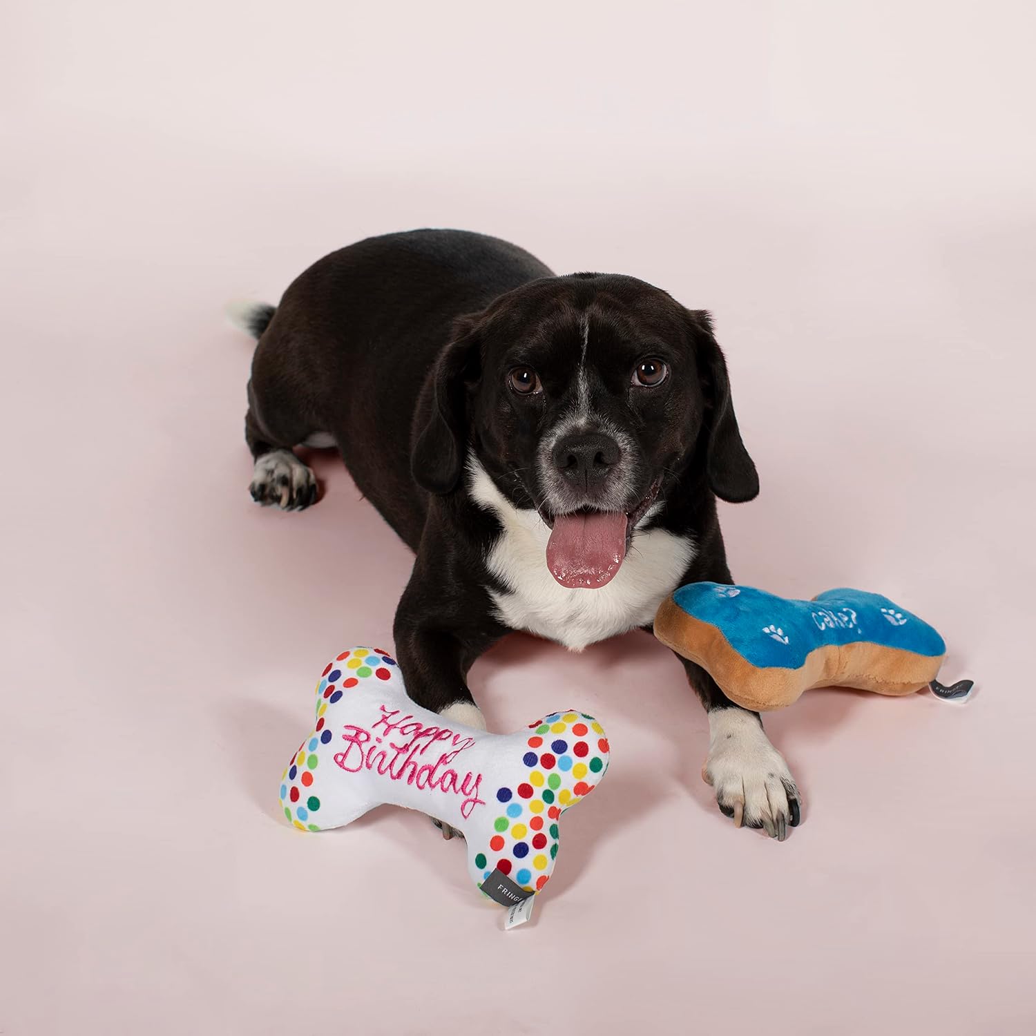 FRINGE STUDIO Birthday Bone Cookies Pet Toy (289332), Multicolor image 3