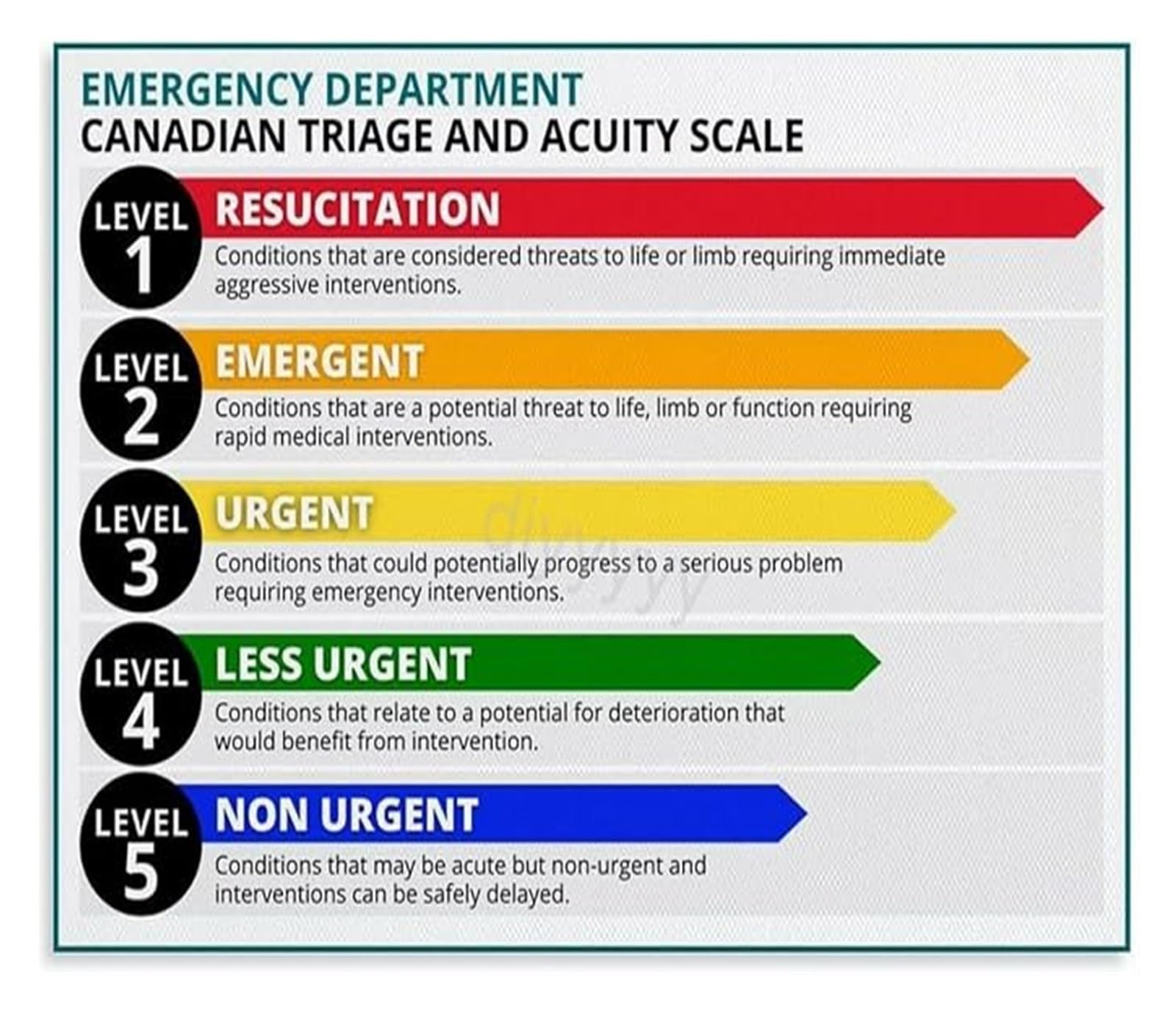 ZDVHOMCB Five Level Triage Decision Tree Poster Emergency Department Canvas Wall-Art for Hospital Staff Room Living Room Decor