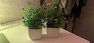 Review Image by Nicole Nicole