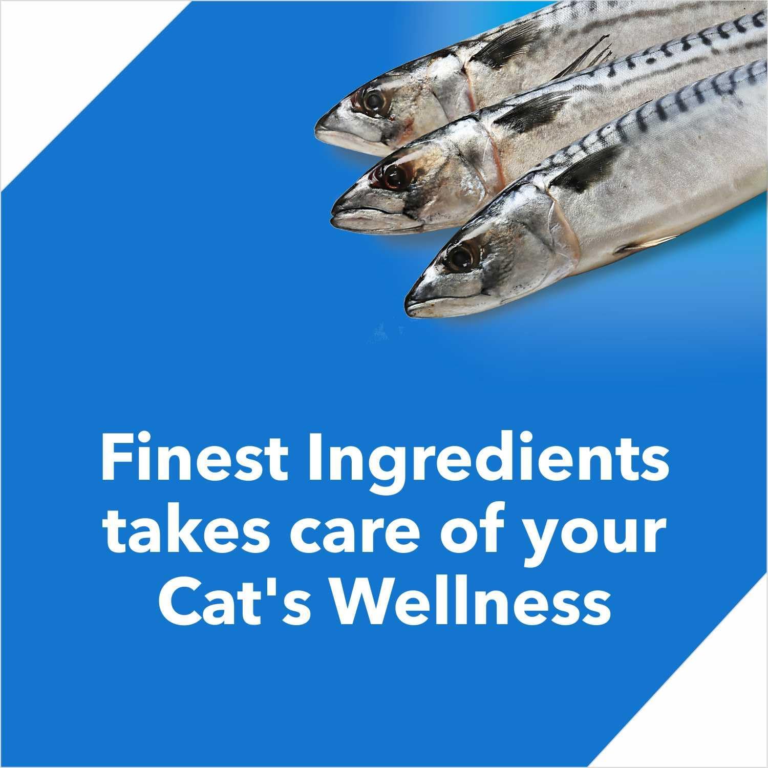 Drools Ocean Fish Adult Cat Food, 2.65lb – Real Mackerel & Sardine, Complete Nutrition for Health, Shiny Coat & Vision, No Artificial Flavors or Preservatives, Protein-Packed Meal