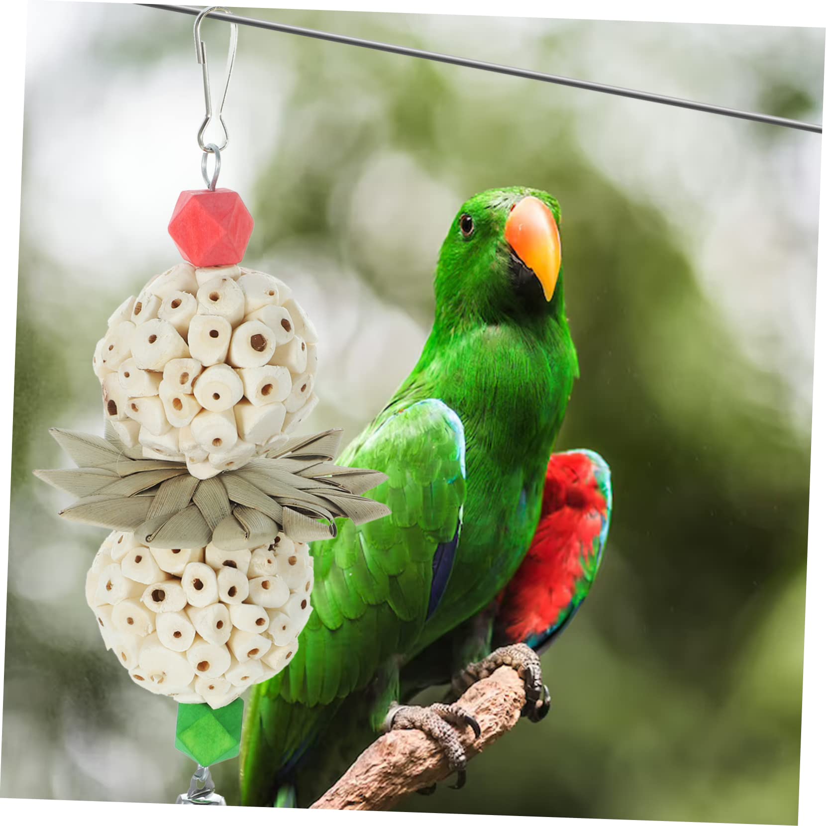 FRCOLOR 5 Pz giocattolo da masticare per pappagalli giocattoli abito bel giocattolo divertente giocattolo da masticare per uccelli Pappagallo forniture di uccelli di legno