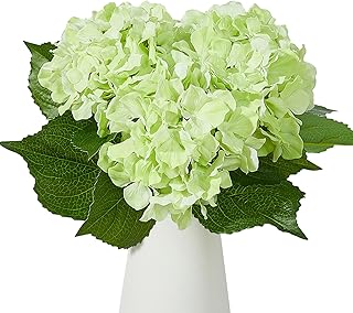 Heleze 25 Inch Real Touch Hydrangea, Faux Limelight Hydrangea Artificial Hydrangea Flowers Fake Hydrangeas with Leaves Home Wedding Table Centerpieces Party Decoration 3 PCS