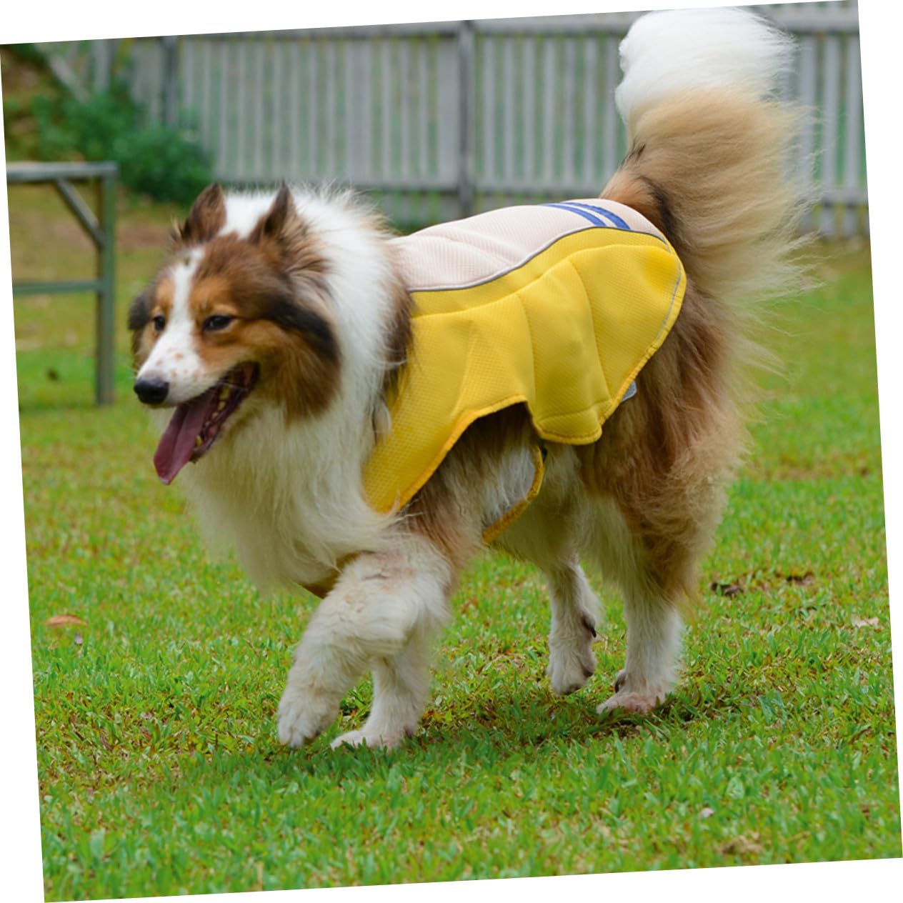 Gatuida Gilet Rafraîchissant pour Animaux de Compagnie Léger et Respirant, Tissu Confortable, Taille L, Protection Solaire Estivale, Adapté aux Chiens et Chats, Activités en Extérieur