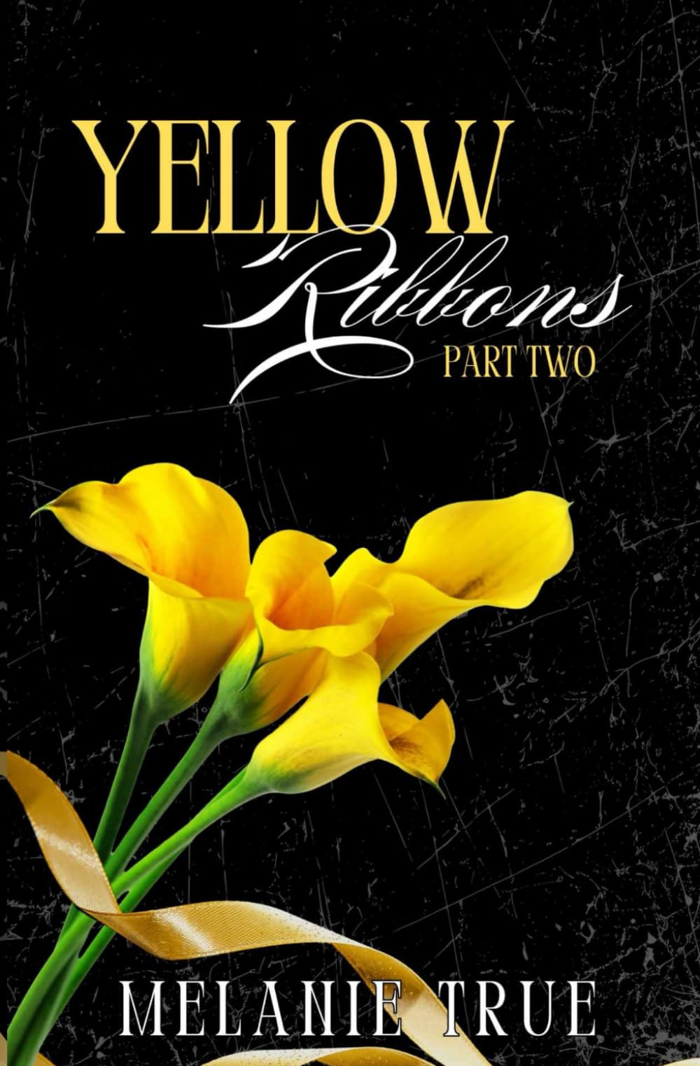 Yellow Ribbons: Part II (A Military PTSD Romance)