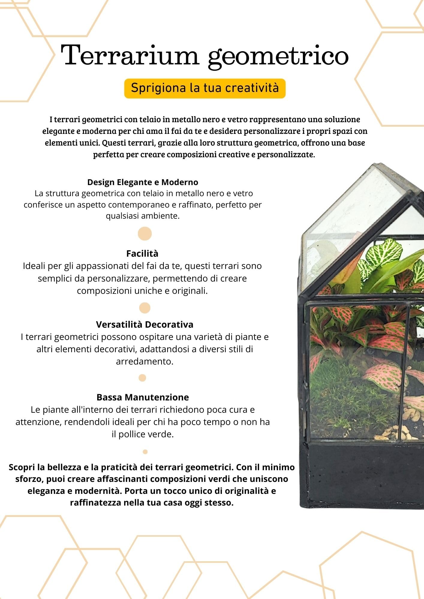 I GIARDINI DI GIULIA - Kit Terrarium Geometrico Fai da Te - Contenitore in Vetro e Ferro con Piantine terriccio e materiali decorativi INCLUSI - I Giardini di Giulia