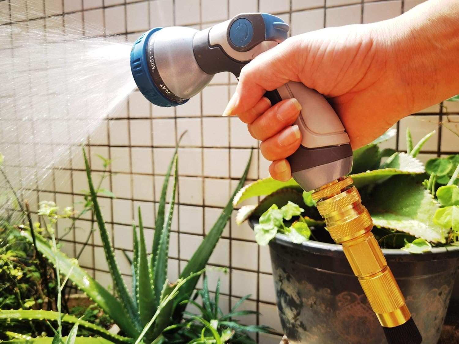 PLG Brass Garden Hose Quick Connect Fittings - 6 Male + 2 Female