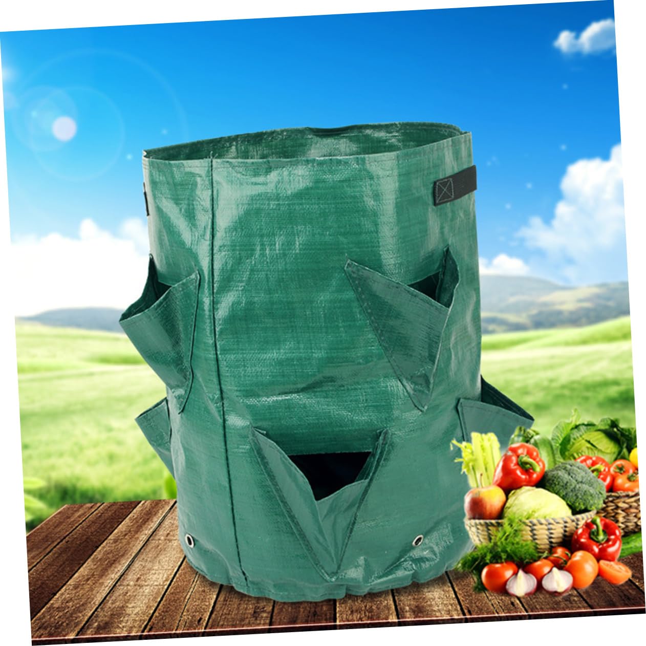 HANABASS 2 Series Bolsa De Plantación De Fresas PE De Unidades De Accesorios De Jardinería Colgantes Fomentan El Crecimiento Vegetal Ventilación De 2 Piezas*2