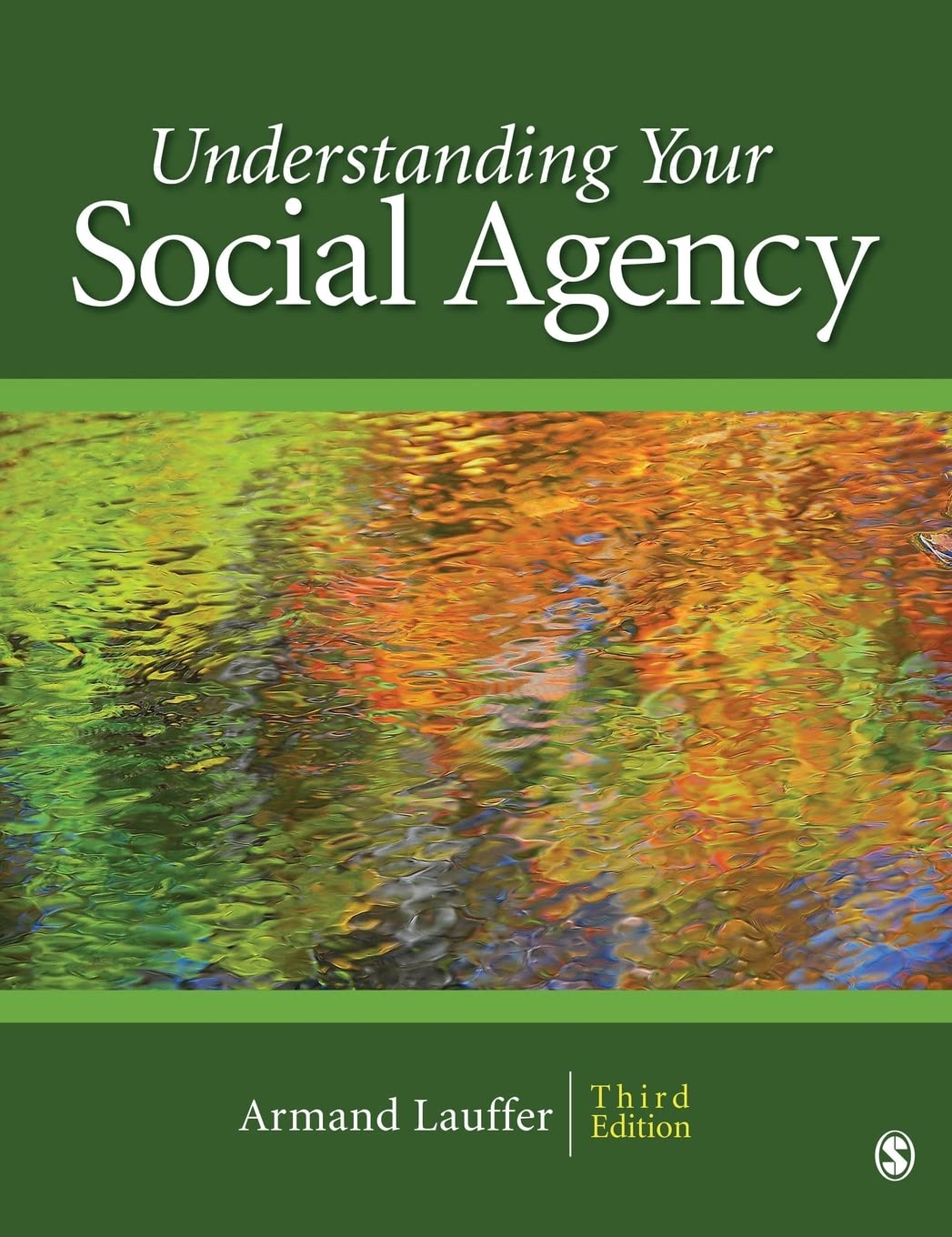 Understanding Your Social Agency (SAGE Human Services Guides)