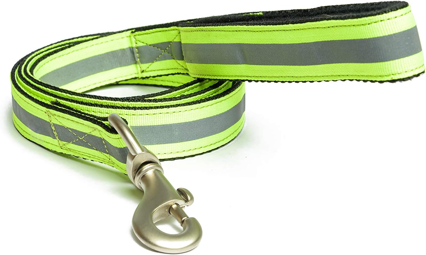 PetWale Dog Leash with Padded Handle | Suited for Walking, Running, Training & More | Reflective Green Nylon | Easy to Clean & Maintain | Durable & Sturdy | L: 5 feet, W: 1 inch