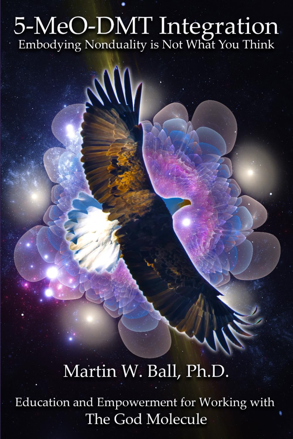 5-MeO-DMT Integration: Embodying Nonduality is Not What You Think (The Entheogenic Evolution, Band 14)