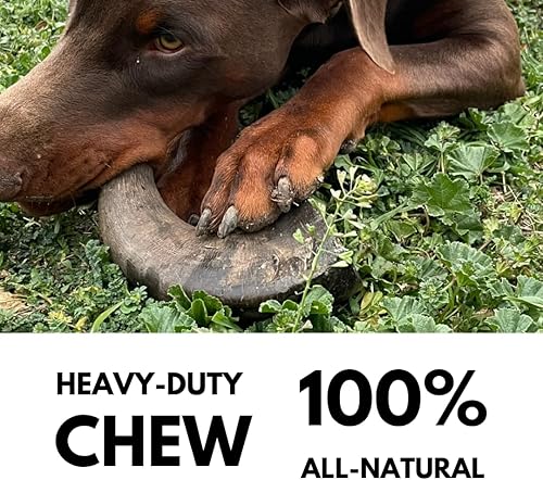 Miniatura 3 de WhiteTail Naturals - Cuernos de búfalo de agua para perros (paquete de 2 grandes) Hueso de perro de cuerno de búfalo totalmente natural - Juguete