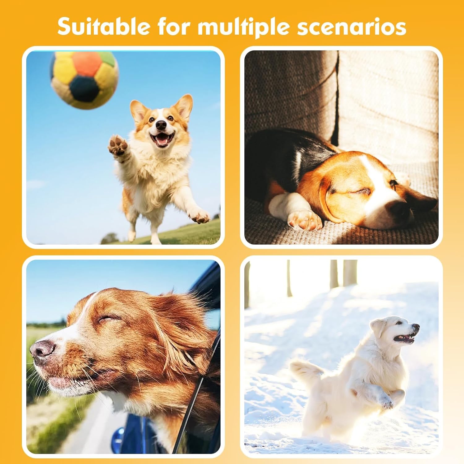 2-in-1 GPS Tracker for Dogs: Smart Pet Collar with Real-Time Tracking,No Monthly Fee/Subscription (iOS Only) Waterproof, Anti-Lost,365-Day Long Battery Life GPS Tracker Dog Collar(Tracker Included)