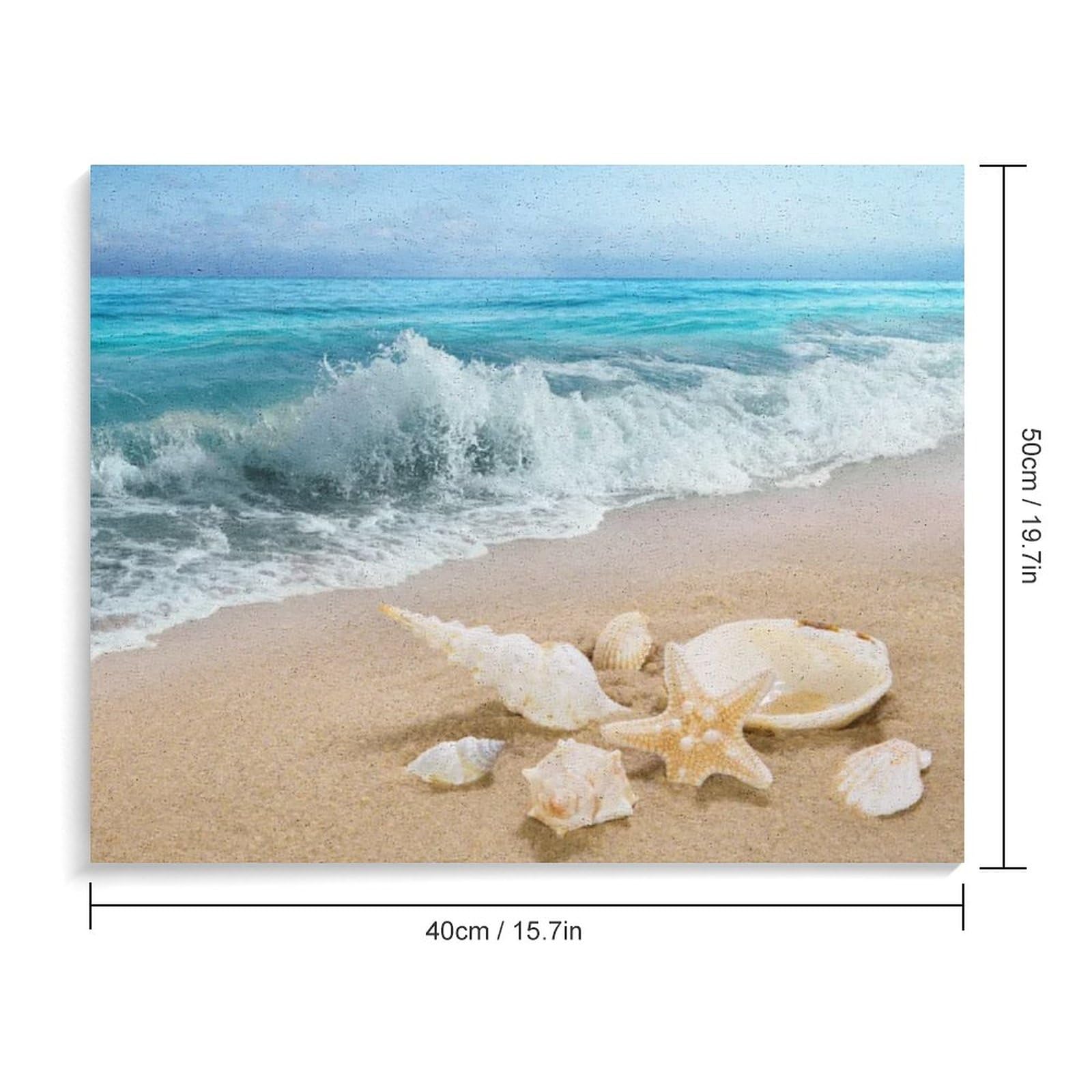 Amazon | 海辺の砂浜にある貝殻の群れ 数字油絵 静かな海