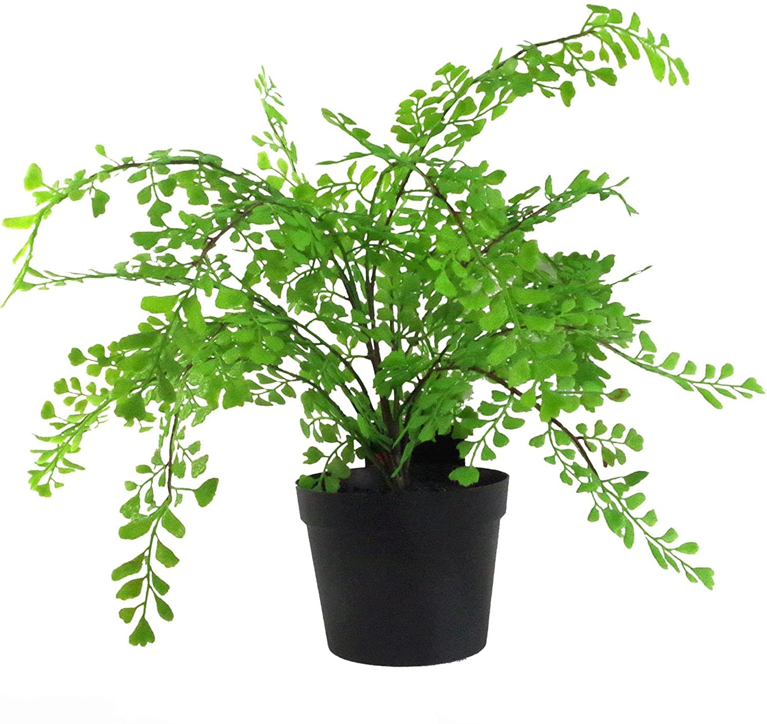 50Cm Leaf Design Uk Realistic Large Artificial Foliage Plant With Pot from B&Q