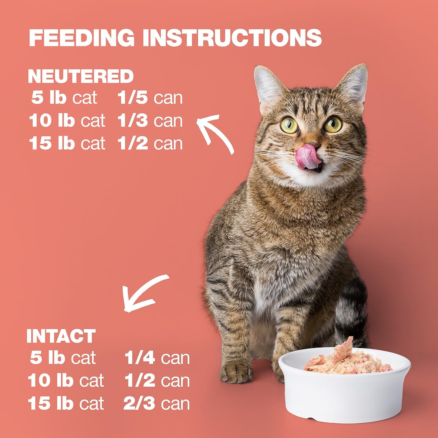Natural Code - 24 Pack Wet Cat Food, Limited Ingredient Cat Food, High-Protein, Non-GMO, No Artificial Additives, Made in Italy, Chicken & Salmon in Broth for Adult Cats, 3 oz