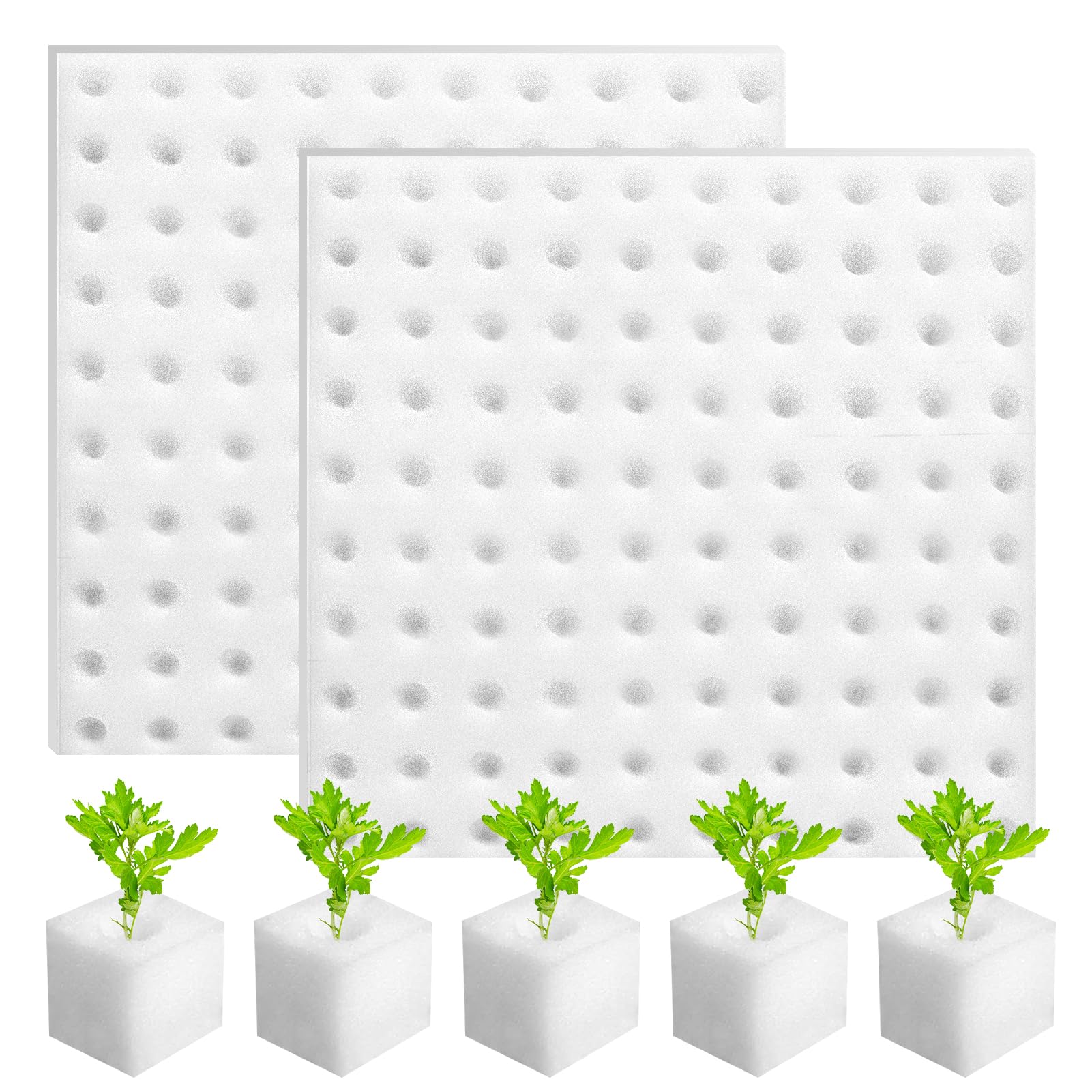 200 Piezas Esponja Hidropónica 25 * 25 * 25mm, Esponjas Plántulas Invernadero Plantar Herramientas de Jardinería Esponjas Cuadradas para Esquejes Agrícolas Siembra y Trasplante de Hortalizas(Blanco)
