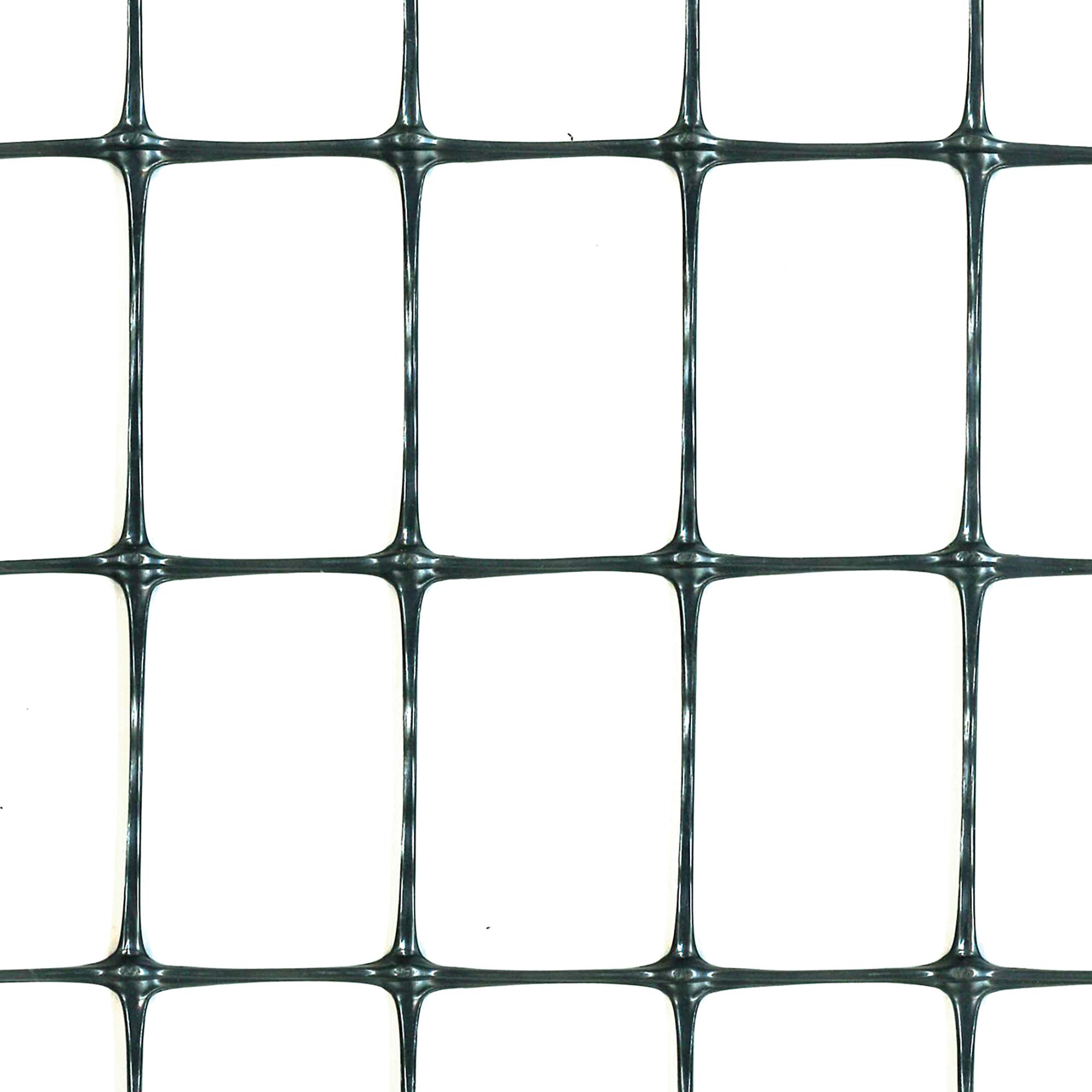 Tenax - Red de valla de plástico, color gris antracita, 1,00 x 25 m