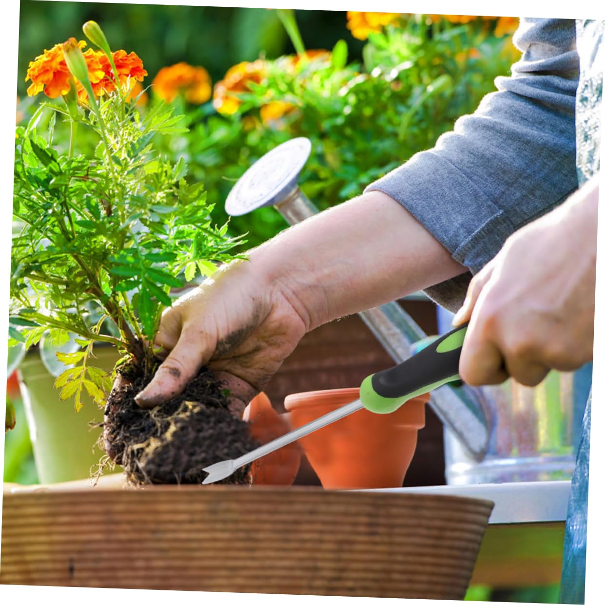 Veemoon 5pièces Outil De Désherbage Manuel Inoxydable Arracheur De Mauvaises Ergonomique pour Jardinage Et Agriculture Outil De Jardinage Polyvalent pour Désherbage