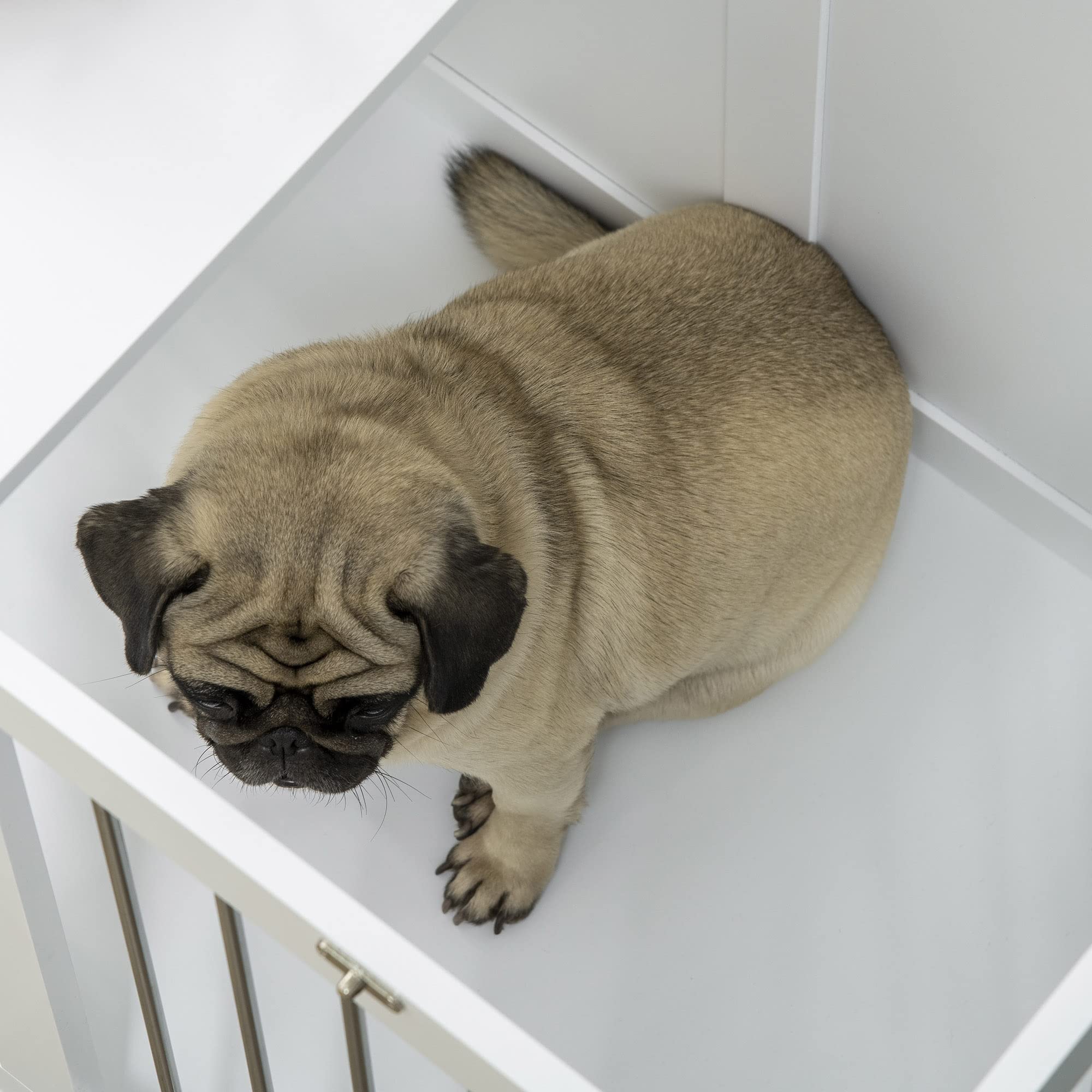 PawHut Jaula para Perros Medianos 2 en 1 Mesa Auxiliar Estilo Moderno con 2 Puertas con Pestillo y Estructura de Acero Inoxidable Casa para Perros 80x50x56,5 cm Blanco