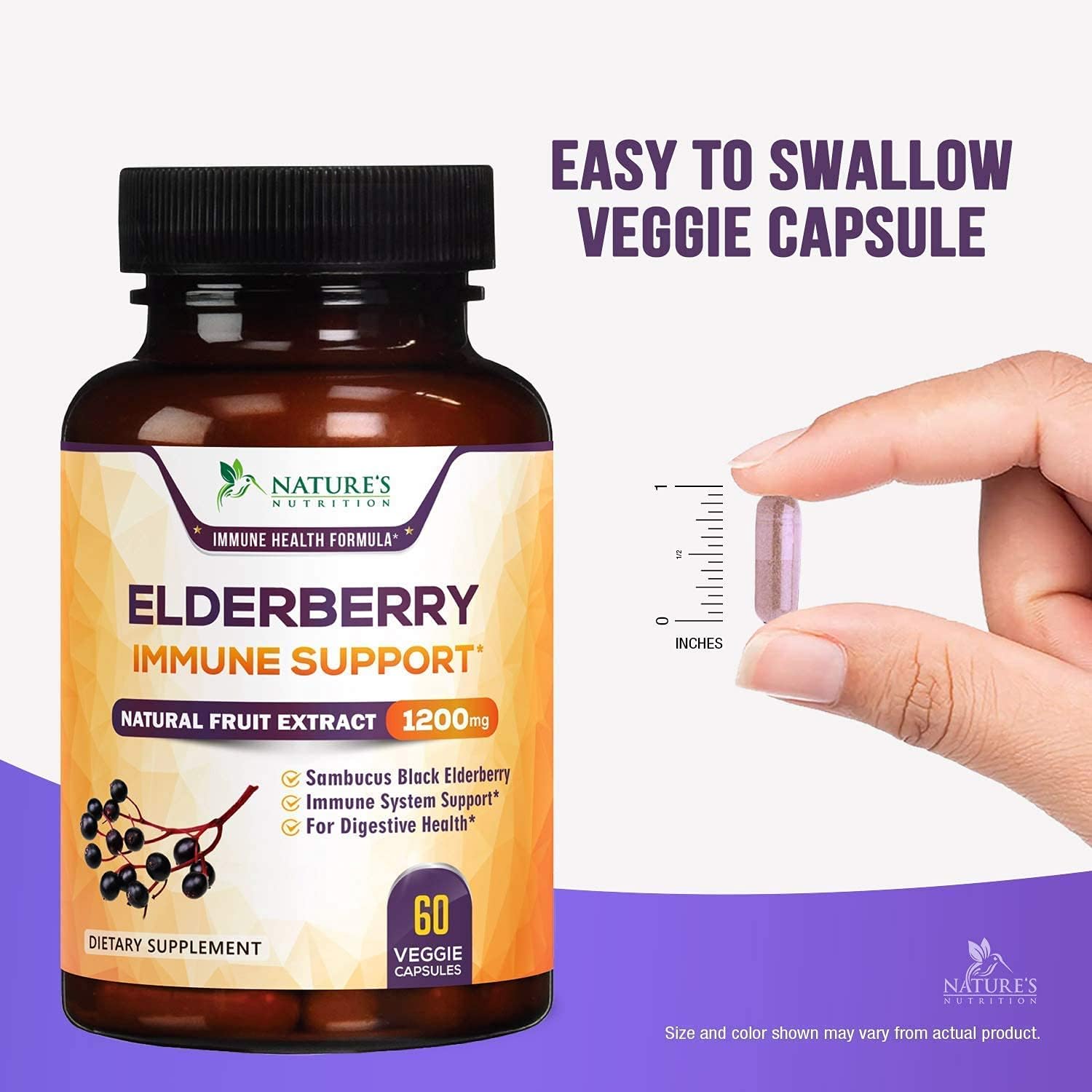 Sambucus Black Elderberry Immune Support - 100% Black Elderberry Fruit Extract - Non-GMO, Gluten Free, Natural Vegan, Sambucus Extract, Antioxidant Supplement by Nature's Nutrition - 60 Capsules : Health & Household
