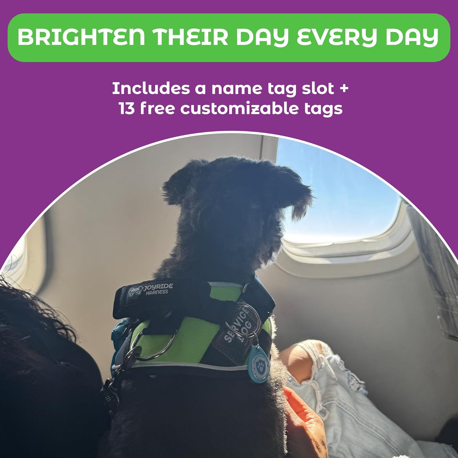 Joyride Harness LED Light Up Dog Harness 2.0 - Patent Pending Design, 3 LED Modes, Vibrant Rechargeable Lighting, Customizable Name Tag Area, and Convenient On/Off Button for Enhanced Pet Safety