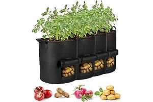 Potato Growing Containers Offer Ample Space for Your Plant's Growth
