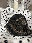 Review Image by Amazon Customer