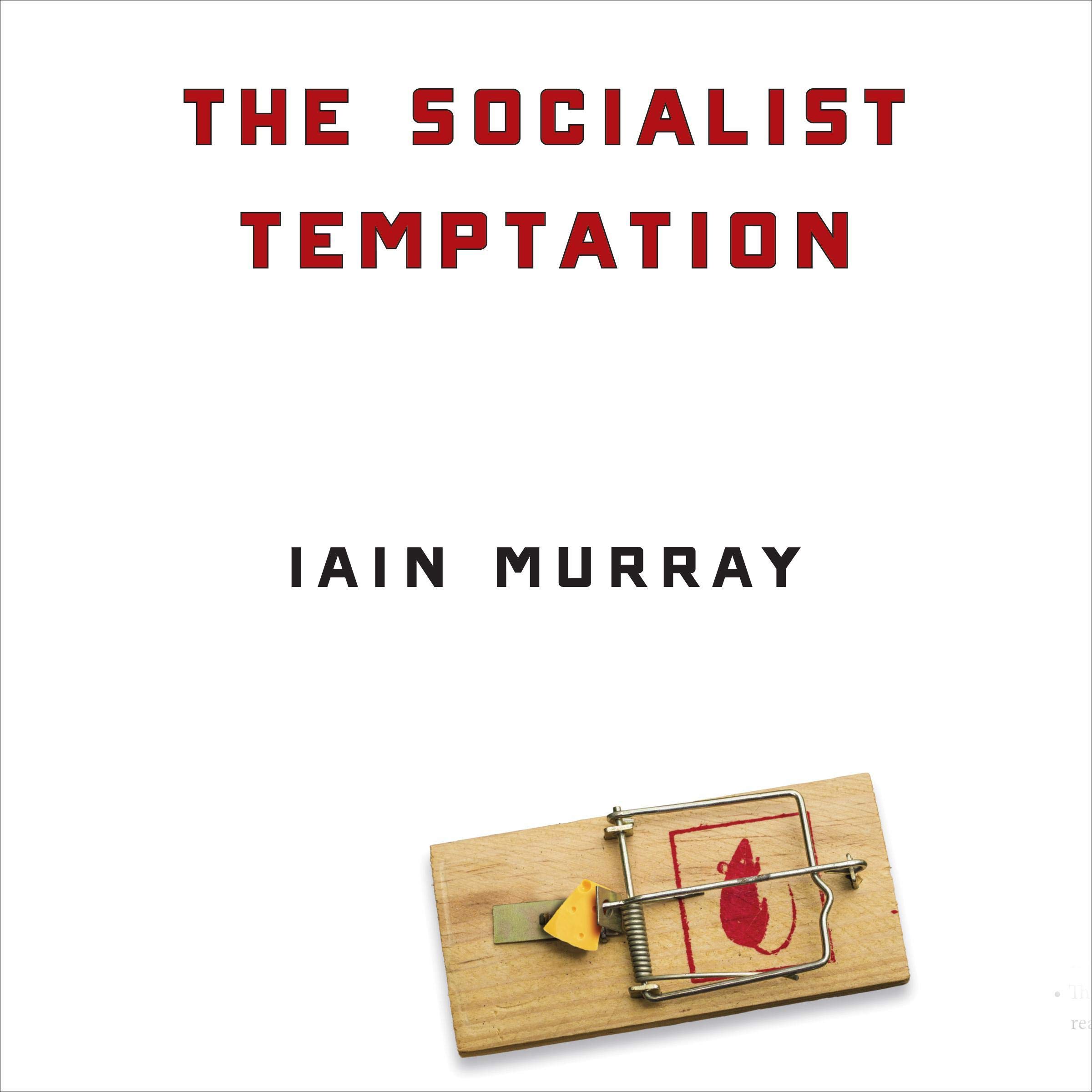Cover art for The Socialist Temptation