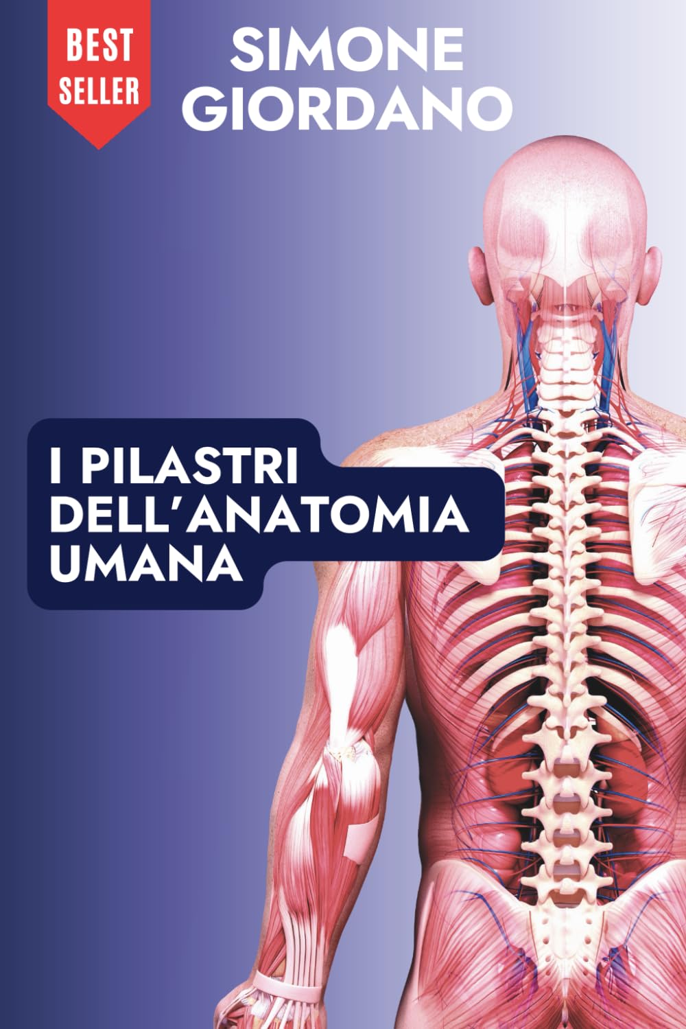 Pilastri dell’Anatomia Umana – Guida Completa al Sistema Muscolo-Scheletrico per Studenti di Medicina, Fisioterapia e Osteopatia: Fondamenti chiave ... in medicina, osteopatia e fisioterapia
