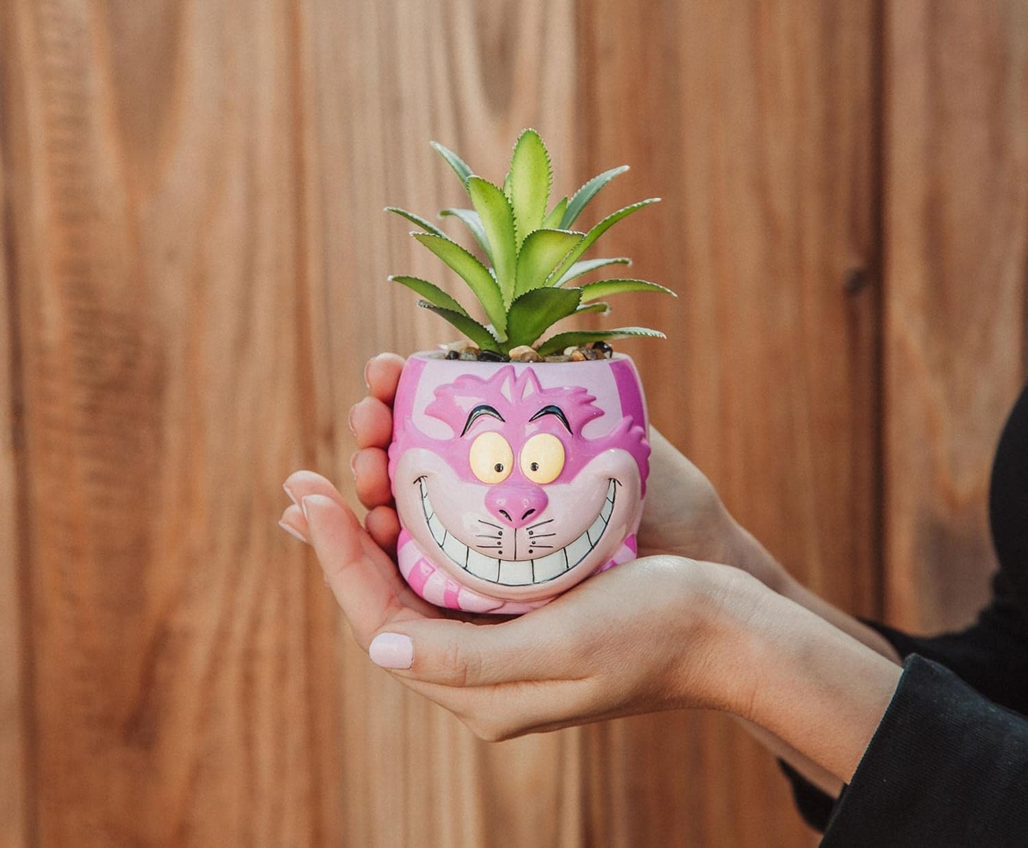 Silver Buffalo Disney Alice in Wonderland Cheshire Cat 3-Inch Ceramic Mini Planter w/Artificial Succulent | Small Flower Pot, Faux Indoor Plants for Desk Shelf, Home Decor Trinket Tray