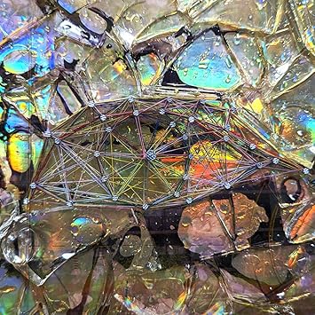 [TV-SHOW] そこに鳴る – 開眼証明 付属BD (2024.07.24) (BDISO)