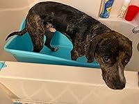 Review Image by blackflame