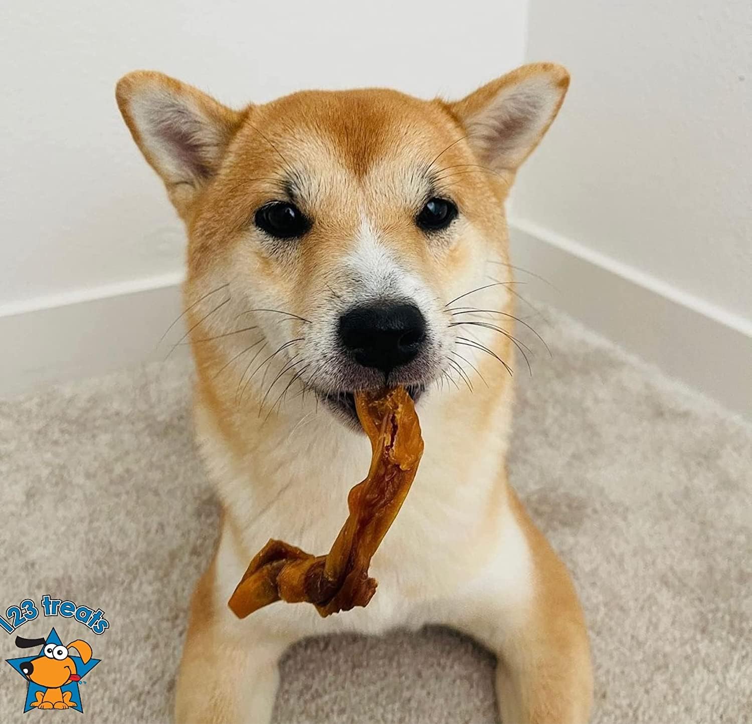 123 Treats Pig Ears Strips for Dogs - (16 Ounce) 100% Natural, Long Lasting & Highly Digestible Chew Treats, Single Ingredient, Slow Baked, Great for Puppy, Large & Medium Dogs