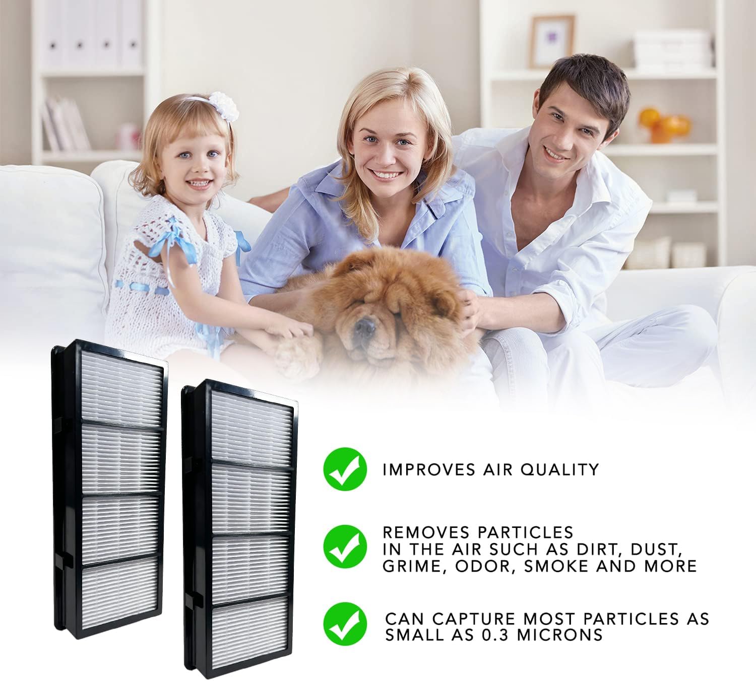 Graphic illustrating air quality improvement with checkmarks next to 'IMPROVES AIR QUALITY', 'REMOVES PARTICLES', and 'CAN CAPTURE MOST PARTICLES AS SMALL AS 0.3 MICRONS'