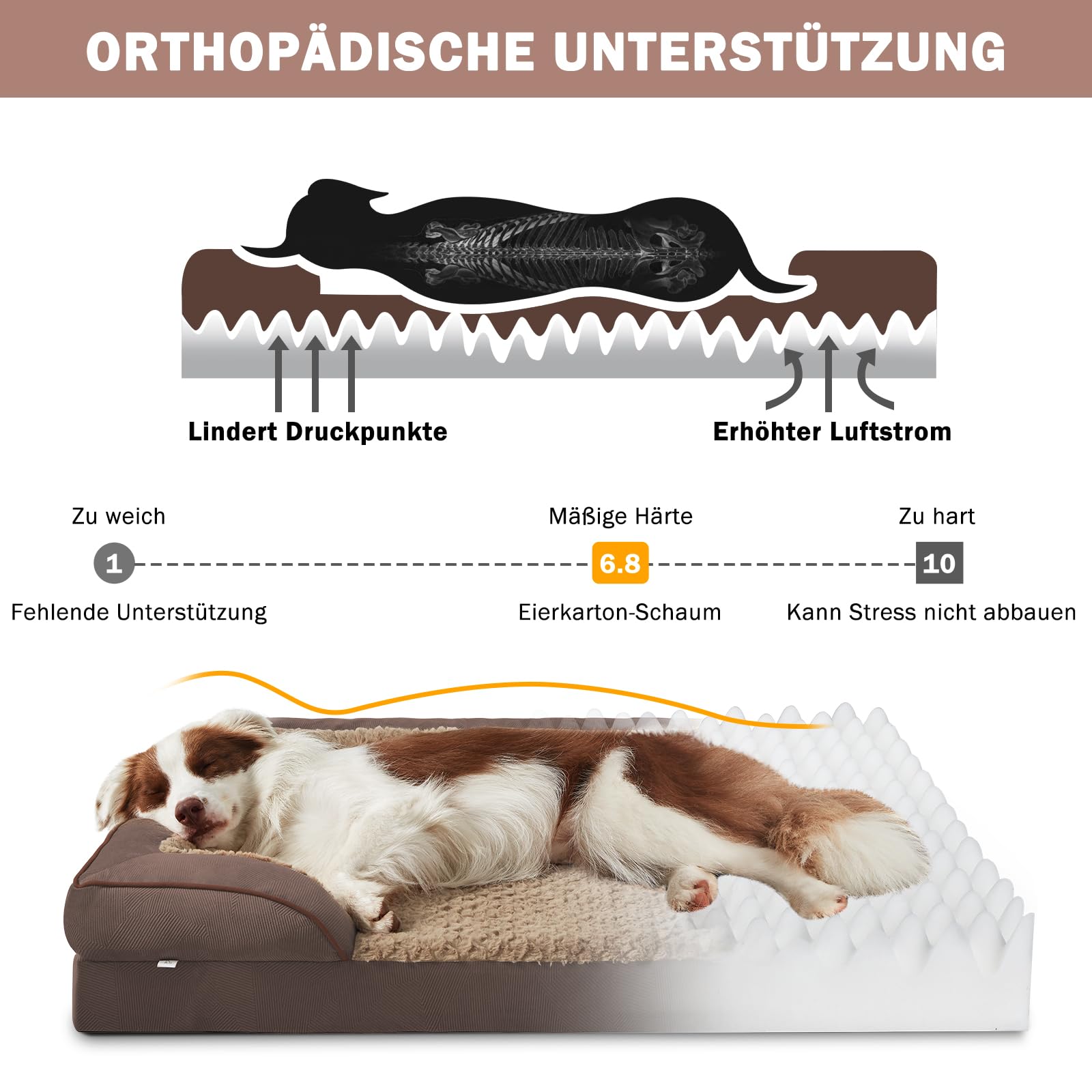 JOEJOY Cuccia ortopedica per cani di taglia media, in memory foam, rimovibile, lavabile, ortopedica, 89 x 64 x 17 cm, a forma di uovo, antiscivolo, colore marrone scuro