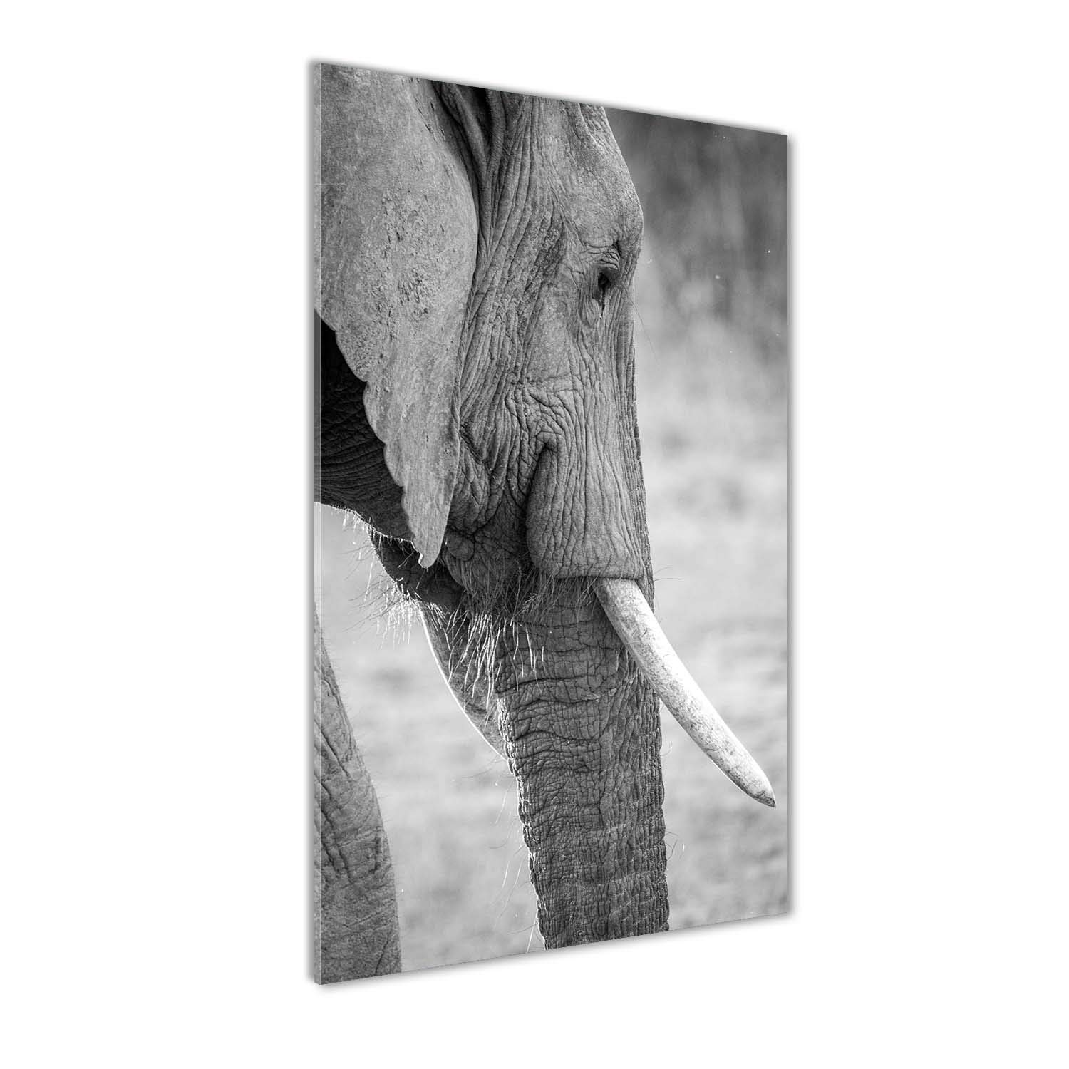 Image sur verre acrylique éléphant moderne pour décoration de salon contemporain