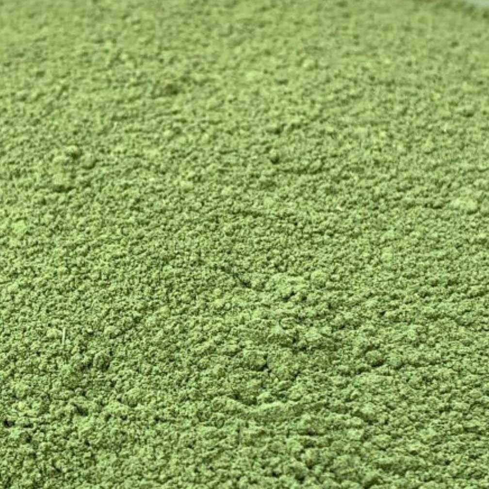 NULTHY 1kg - Té Matcha Premium BIO, Té Verde en Polvo, Ideal Batidos y Repostería