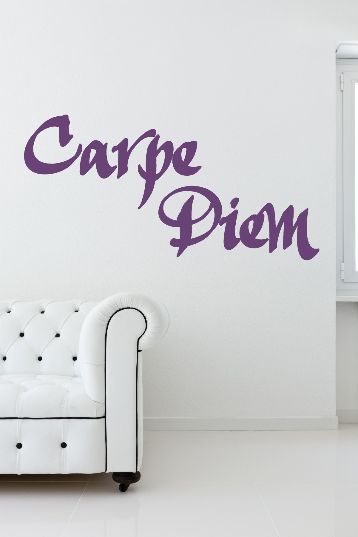 Amazon.com: Carpe Diem Wall Decal (Violet, 9.5