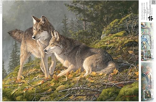 Miniatura 5 de Buffalo Games - Hautman Brothers - Alpha Pair - Rompecabezas de 1000 piezas para adultos, rompecabezas desafiante perfecto para noches de juego -