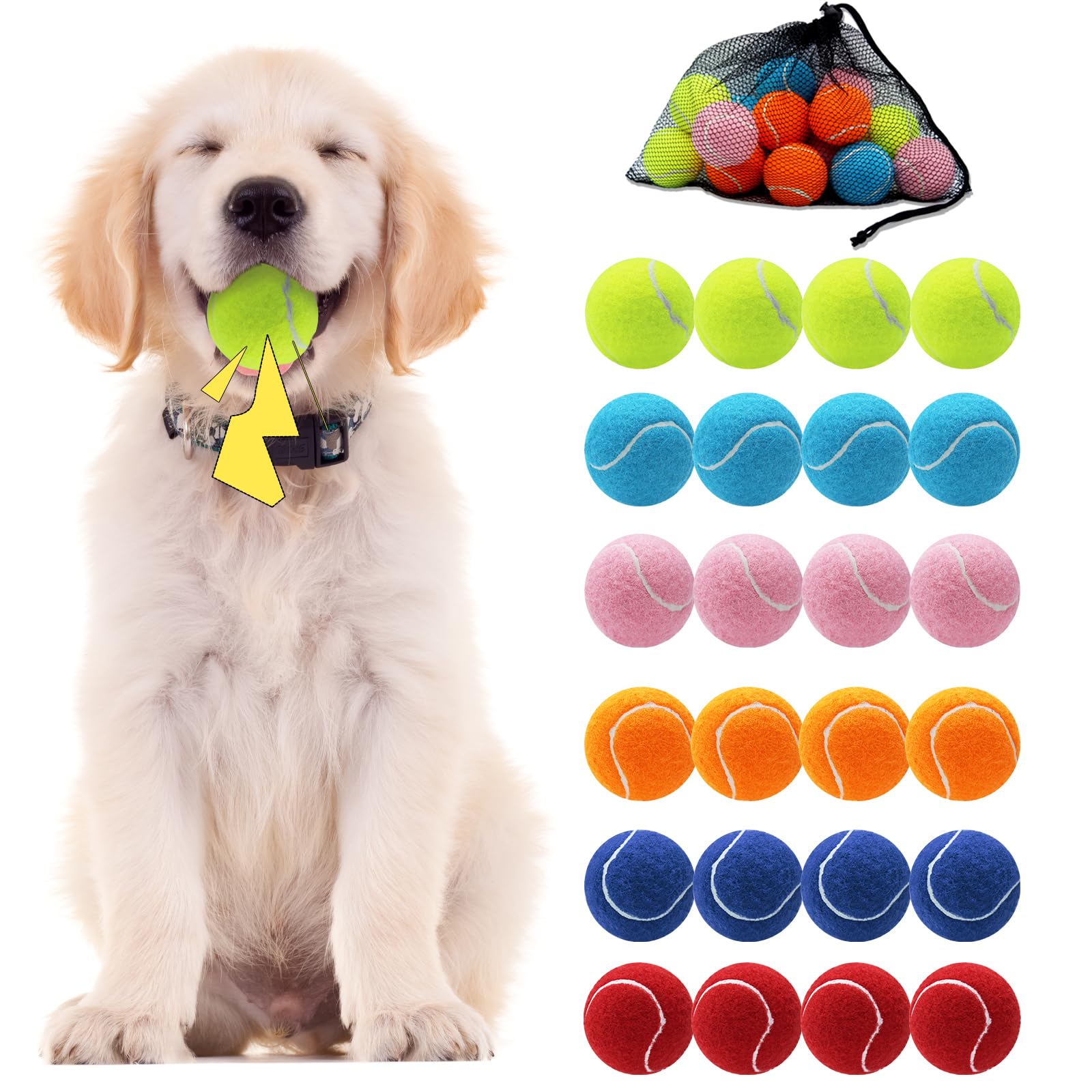 Swingers Squeaky Tennis Balls for Dog, 2.5 Inch Training Tennis Balls