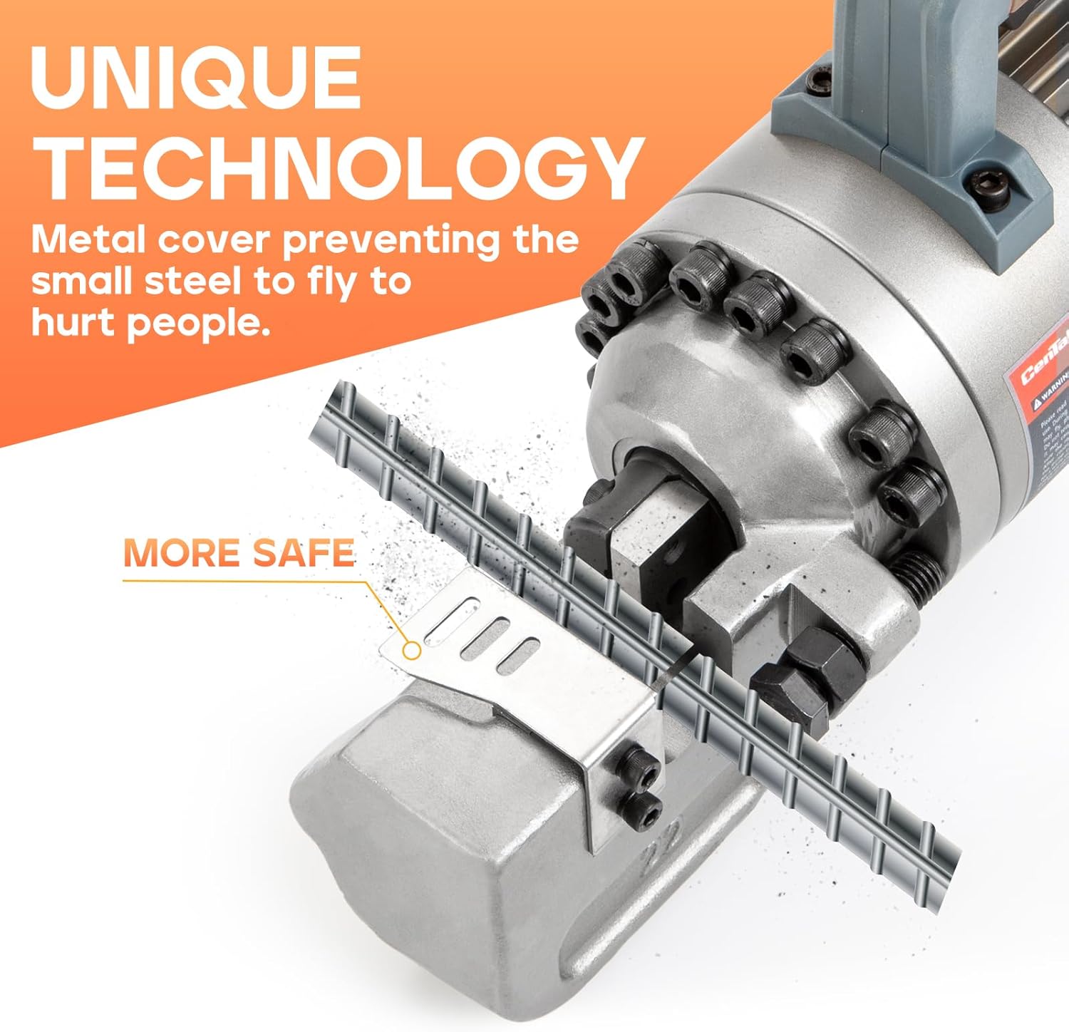 イロハモミジ/株立ち【現品発送】管理60883 【公式通販】