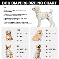 Vista 2 de Pañales reutilizables para perras hembras, paquete de 3, pañales para perras para período, celo e incontinencia, entrenamiento de cachorros